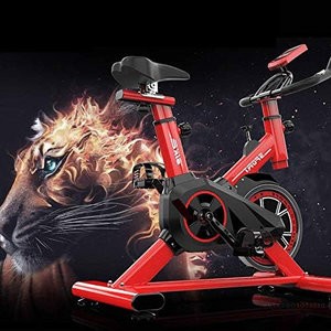 SportsIndoor Cycling Bike,Silent Belt Drive Cycle Bike with Adjustable Handlebars & Seat,Chromed Flywheel,Fitness Bike And Ab Trainer,Sporting Equipment